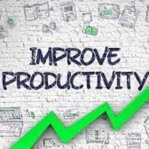 Productivity & Impact Hub